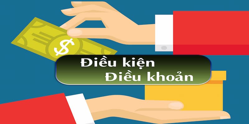 Điều kiện điều khoản hiểu quyền và nghĩa vụ